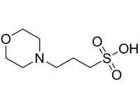 3-（N-吗啡啉）丙磺酸，96% 
