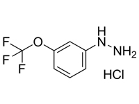 3-<em>三</em>氟甲氧基苯肼盐酸盐，98%（HPLC）