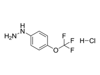 4-<em>三</em>氟甲氧基苯肼盐酸盐，98%（HPLC）