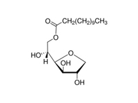 <em>司</em>班20, CP