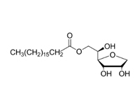 <em>司</em>班60，CP