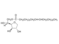 <em>司</em>班80，CP