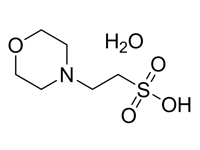 2-(N-吗啉）乙磺酸一水合物，99%