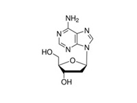 2-脱氧腺苷，<em>99</em>%