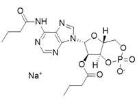 N6,2′-O-二丁酰基腺苷3′,5′-环磷酸 钠盐，<em>97</em>%
