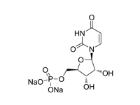 5ˊ-尿苷酸二钠(UMP)，99%