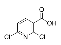 2,6-<em>二</em><em>氯</em>吡啶-3-羧酸，98%