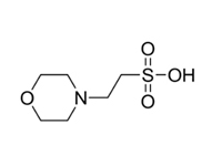 2-<em>吗</em>啉乙磺酸，99%