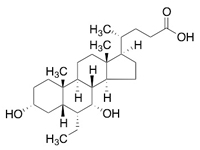 6-<em>乙</em>基鹅去氧胆酸，98%