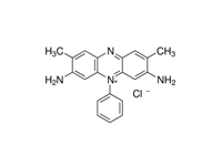 藏<em>红</em>T，IND