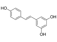 白藜芦醇, 98%（GC)