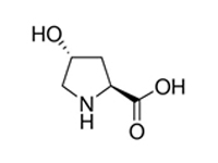 L-羟基脯氨酸，<em>99</em>%