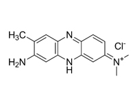 中性<em>红</em>，IND