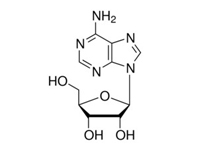 腺苷，BC，<em>99</em>%