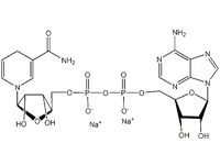 还原型辅酶<em>I</em> 二钠(β-NADH)，95%