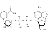 还原型辅酶<em>I</em> 二钠(β-NADH), 95%