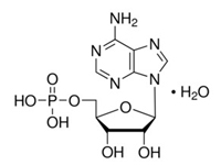 腺苷-5-<em>单</em>磷酸，98%