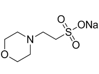 2-吗啉乙磺酸钠，99%