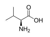 L-缬氨酸，<em>99</em>%