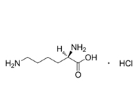 D-赖氨酸盐酸盐，98% 