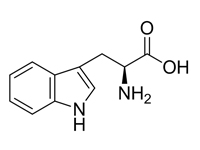 L-色氨酸，<em>99</em>%