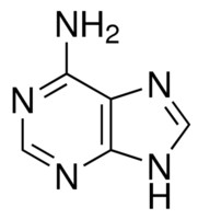 腺嘌呤，BR，<em>98</em>%