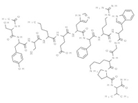 美<em>拉</em>诺坦