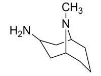 内-3-胺-9-甲基-9-氮杂<em>双</em>环[3,3,1]壬烷