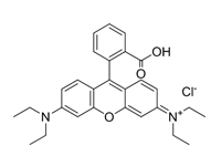 罗丹明<em>B</em>，AR