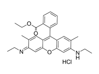 罗丹<em>明</em>6G，BS